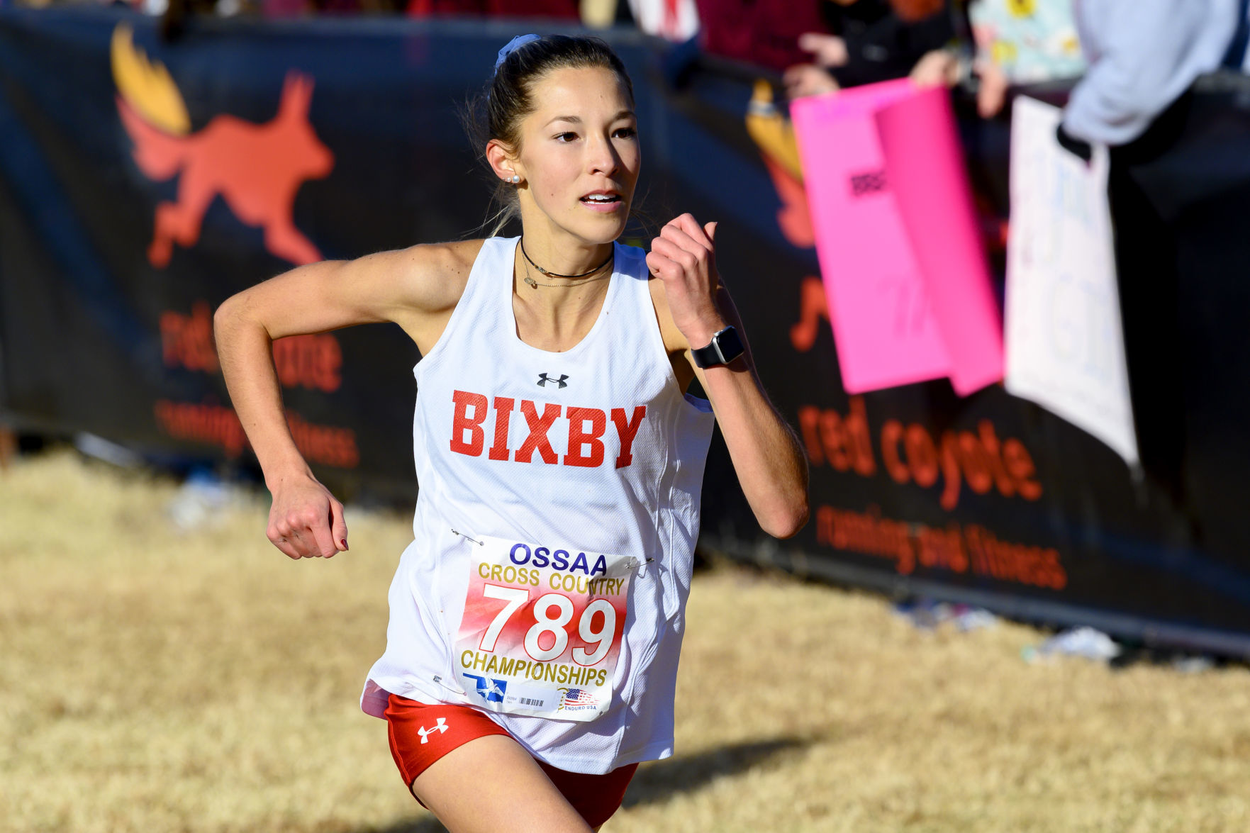 Honorable mention: Bixby